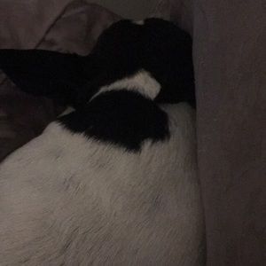 Meet your Posher, Terryterry